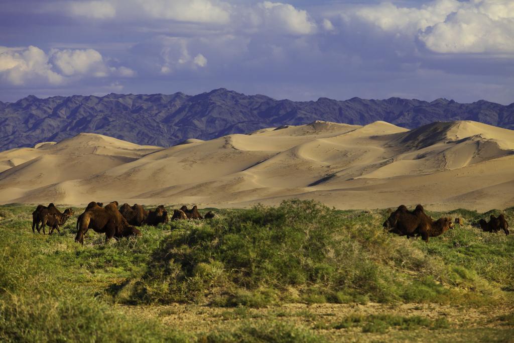 Апартаменты Mongolian Vision Tours Улан-Батор Экстерьер фото