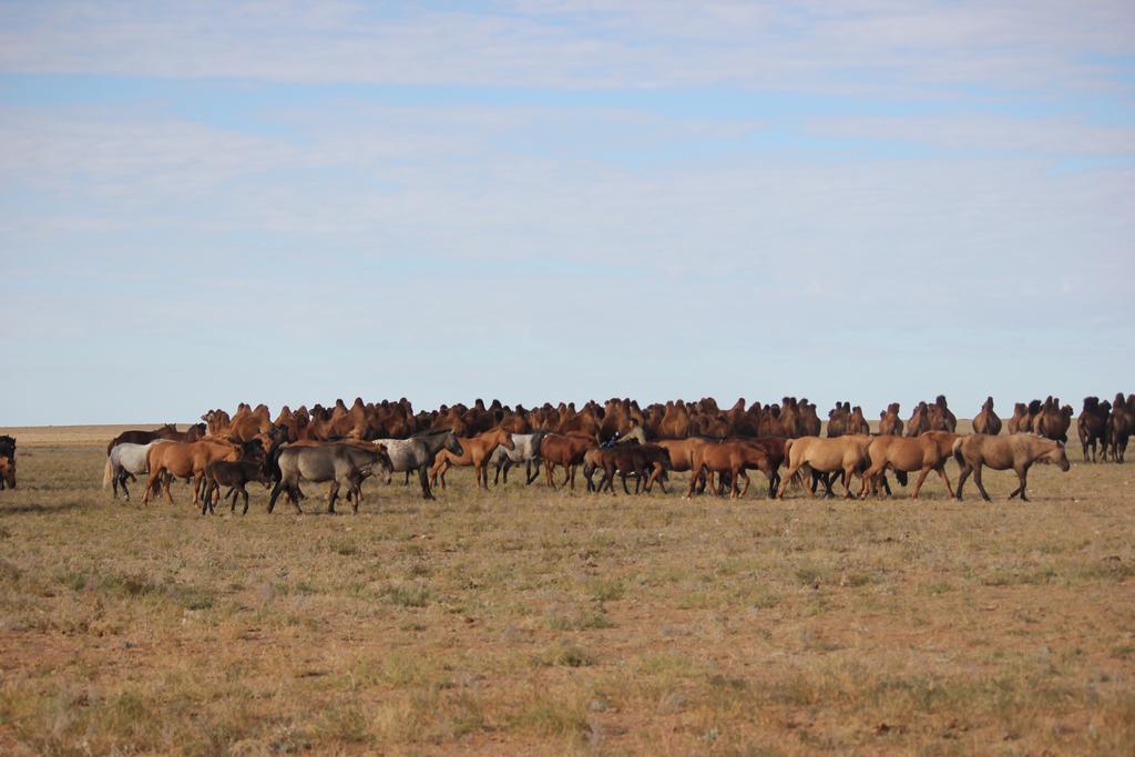 Апартаменты Mongolian Vision Tours Улан-Батор Экстерьер фото