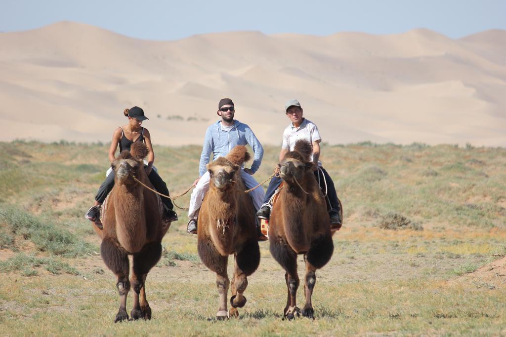 Апартаменты Mongolian Vision Tours Улан-Батор Экстерьер фото