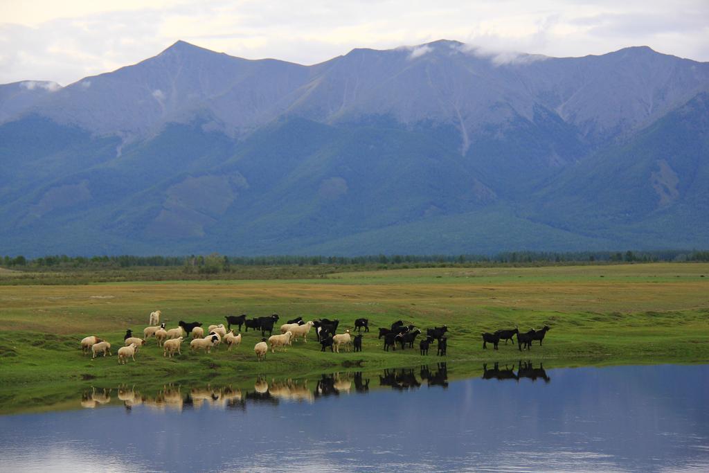 Апартаменты Mongolian Vision Tours Улан-Батор Экстерьер фото